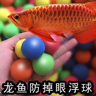 新品防掉眼神器浮鱼金红掉龙x球银眼飘浮球鱼缸内用品逗鱼玩具水