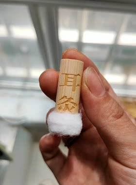 耳灸仪艾灸耳朵熏耳朵的神器耳疗器具耳鸣竹制温熏调理器苇管器灸