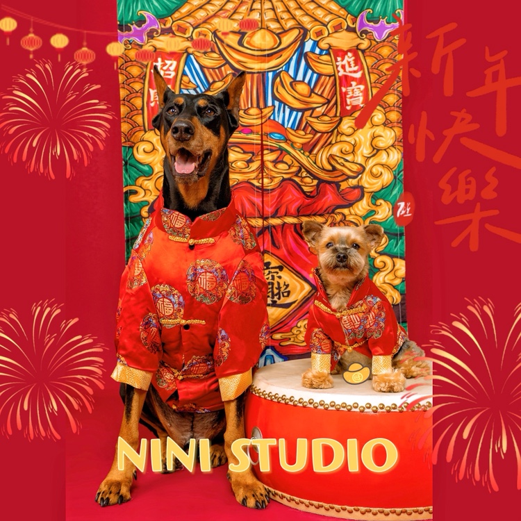 宠物狗猫咪新年喜庆红色唐装棉