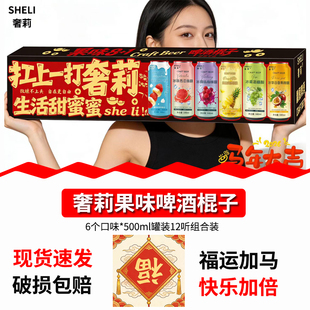 奢莉棍子精酿啤酒送礼佳品冰镇西瓜葡萄百香果杨梅果味大全12罐