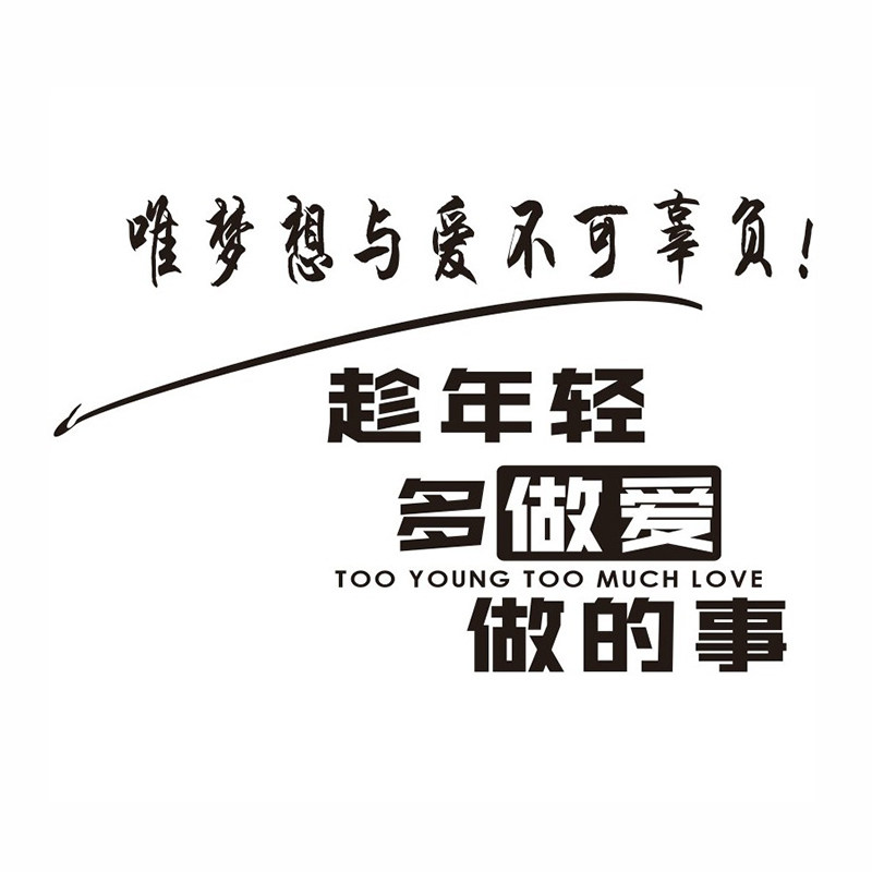 趁年轻多做爱做唯梦想与汽车贴纸