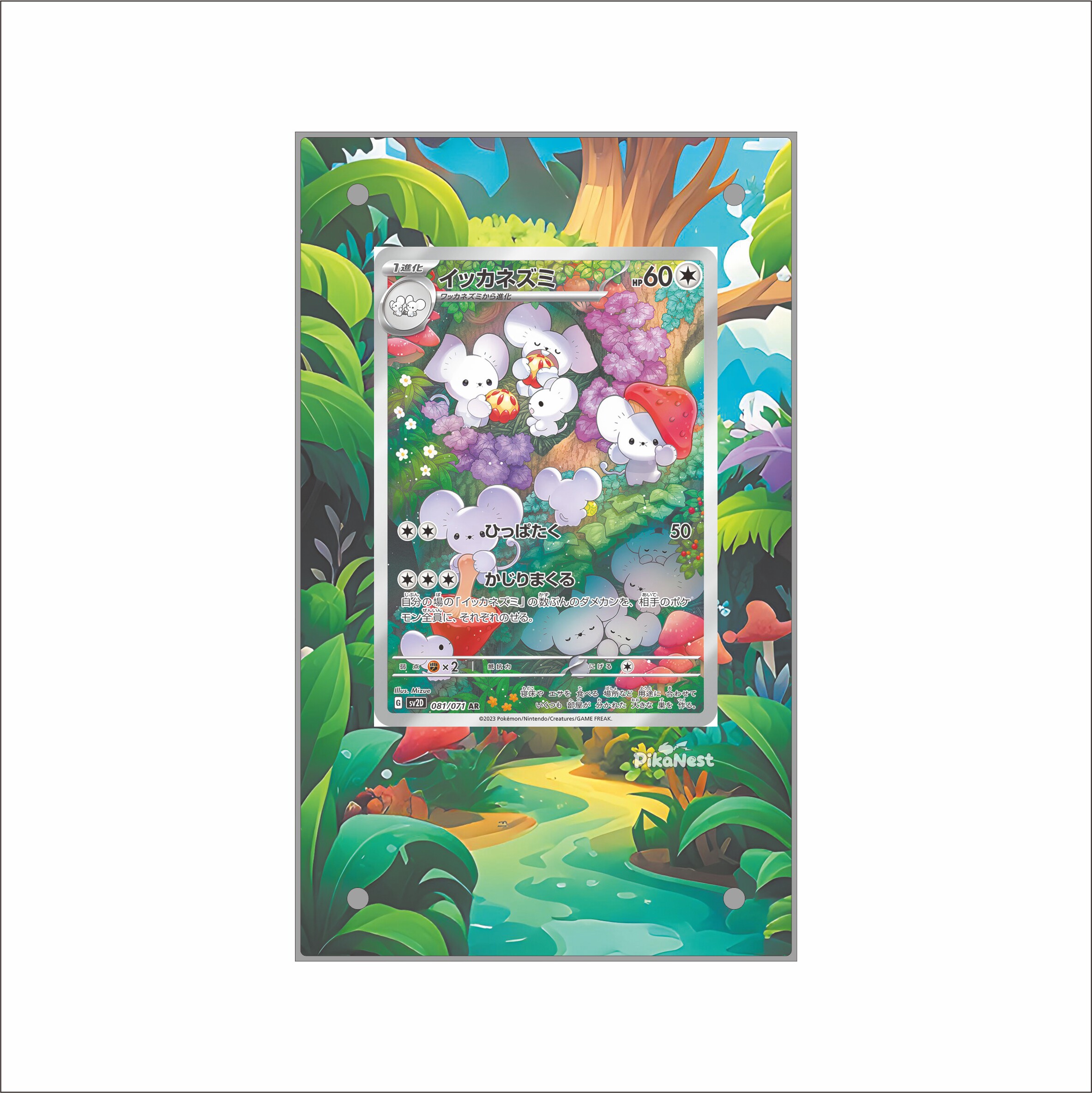 【Pika】PTCG宝可梦一家鼠耿鬼奥琳弗图简繁中PSA亚克力扩画卡砖图片