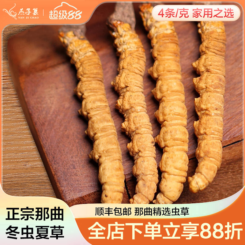 冬虫夏草自用送礼西藏那曲包邮