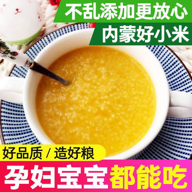 金苗黄小米真空包装内蒙古赤峰