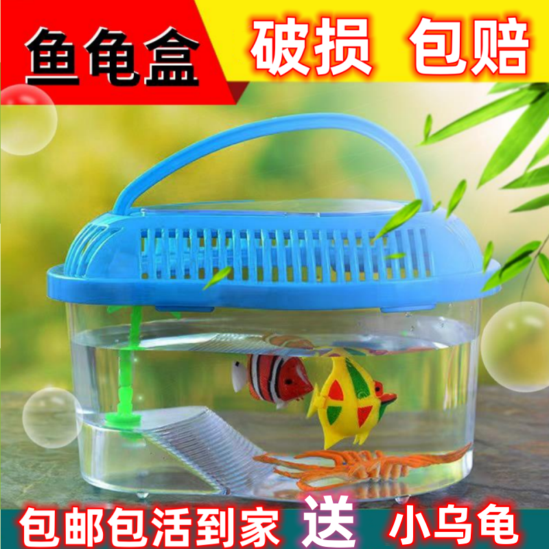 小乌龟活物七彩小乌龟宠物活体好养耐活巴西观赏龟炫彩卡通宠物龟
