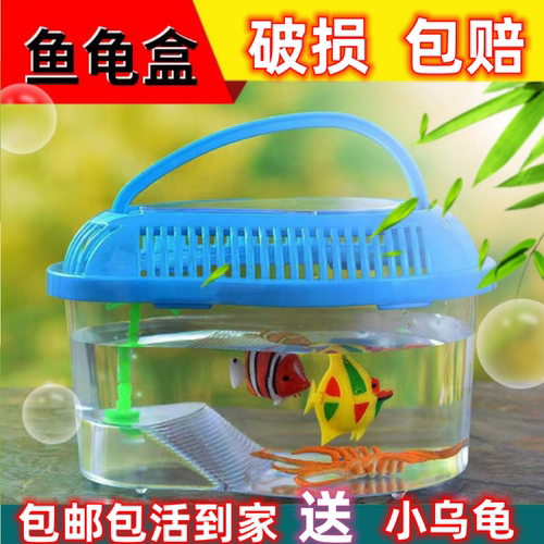 乌龟缸家用送乌龟送彩石包邮