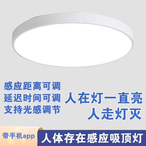 雷达人体存在感应吸顶灯LED智能玄关走廊过道楼梯灯自动感应灯