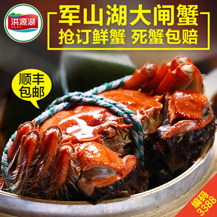 活蟹军山湖大闸蟹3.0两6只全母蟹礼盒装螃蟹鲜活水产现货礼盒江西