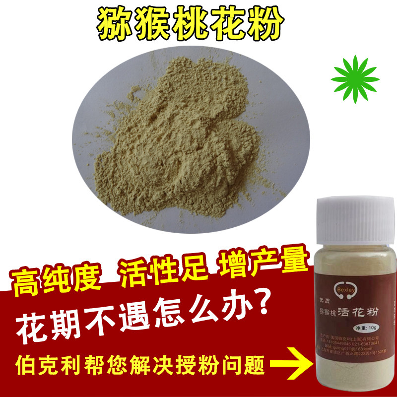软枣猕猴桃花粉红心猕猴桃公树雄花粉纯度98%以上提高坐果率增产