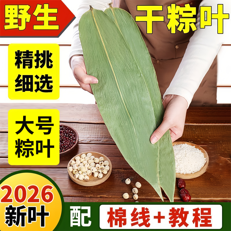 正宗新鲜大号商用粽子箬叶
