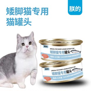 朕的矮脚猫专用猫罐头成猫幼猫亮毛170g三文鱼鸡肉味曼基康拿破仑