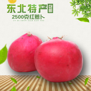 新货正宗东北雌性红萝卜红皮白心大萝卜抗风2500g现摘
