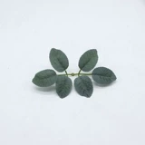 Цветочное кольцо материальное моделирование лесной системы зеленый лист DIY Аксессуары ручной работы