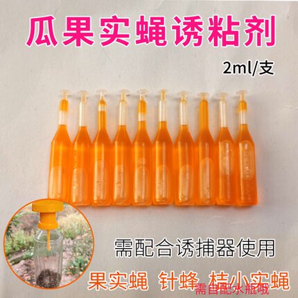 果蝇诱捕器瓜蝇果实蝇引诱剂药水针蜂信息素果园蔬菜诱粘剂诱蜂水