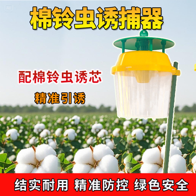 棉铃虫诱捕器棉铃虫诱芯棉花飞蛾