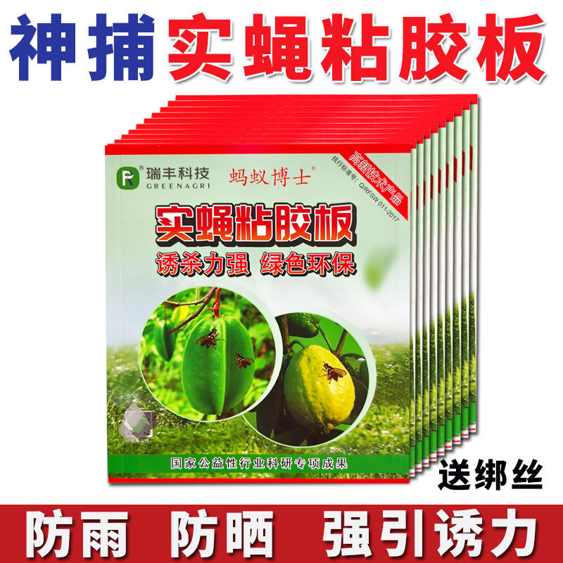 果蝇诱粘板实蝇粘胶板针蜂瓜蝇粘虫板果树苍蝇贴贴果蝇贴神捕速诱