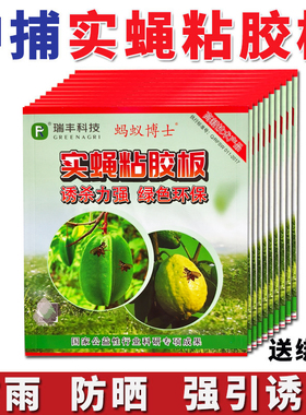 果蝇诱粘板实蝇粘胶板针蜂瓜蝇粘虫板果树苍蝇贴贴果蝇贴神捕速诱