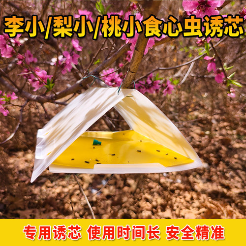 桃小食心虫诱捕器李小梨小诱芯