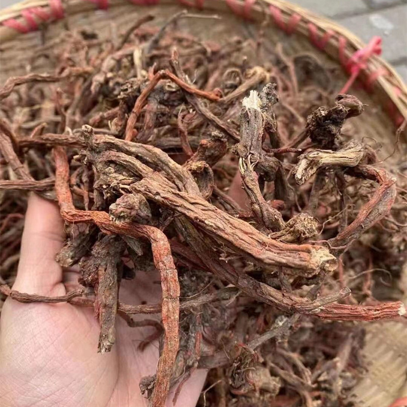 神农架野生紫丹参血参特级