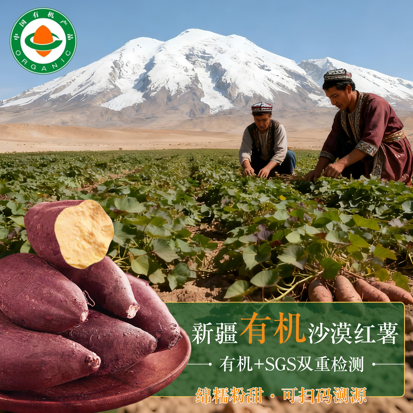 【有机认证】新疆沙漠红薯甜绵面