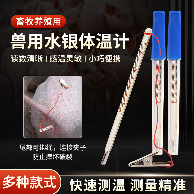 兽用宠物猪牛羊用玻璃体温表动物肛门温度表体温计水银体温计测温,畜牧/养殖物资,畜牧/养殖器械,淘宝优惠券,粉丝福利购,淘宝优惠卷