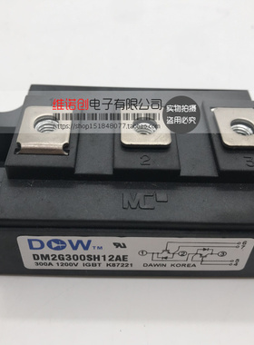 DM2G150SH12AE DM2G200SH12AE DM2G300SH12AE全新进口