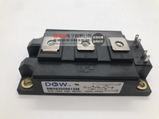 DM2G150SH12AE DM2G200SH12AE DM2G300SH12AE全新进口