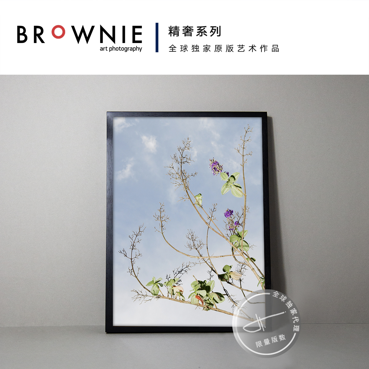 BROWNIE艺术摄影原版限量装饰画东杰·蒂勒森《无题》