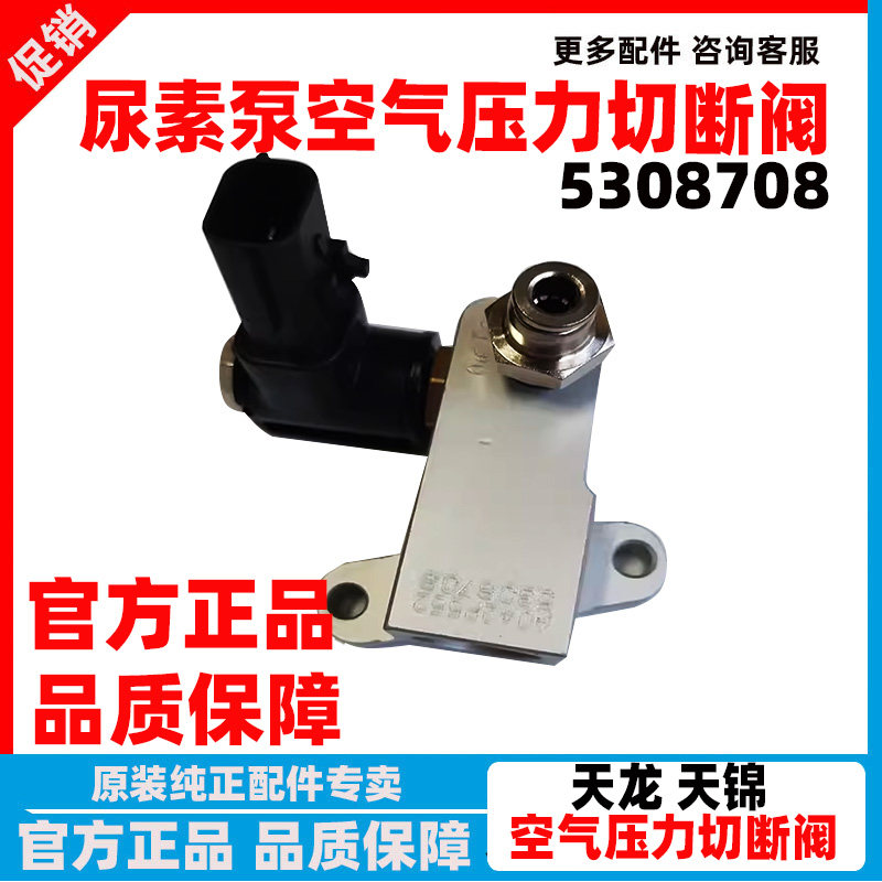 天龙天锦尿素泵空气切断电磁阀
