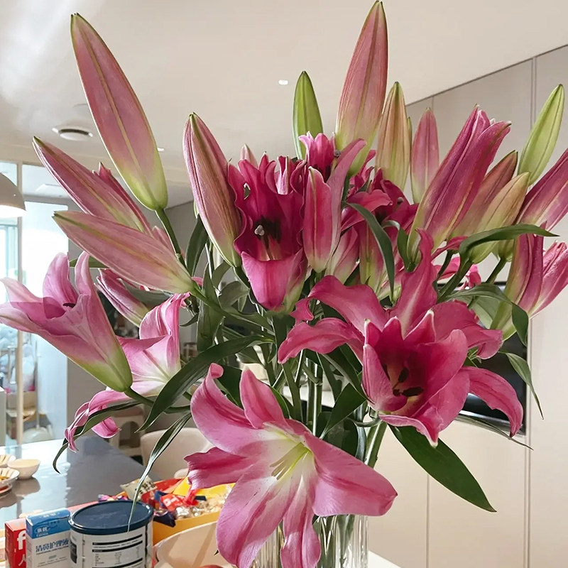 罗宾娜百合鲜花香水百合花双头斗南鲜花基地直发云南昆明花卉市场