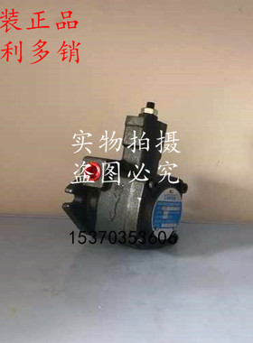 台湾油昌Yochg变量叶片泵VP-SF-12/20-A/B/C/D/E-10油泵