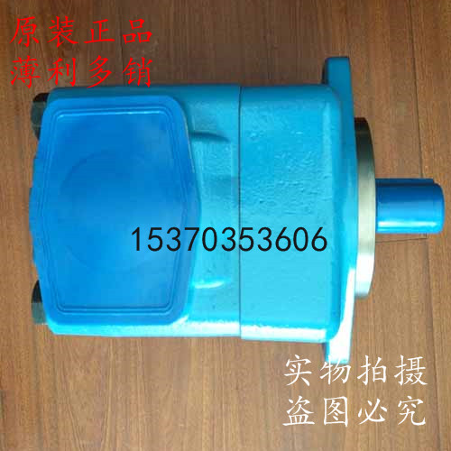 美国SUNNY油泵45V42A-1A/B/C/D22R/L 86A/B/C/D22R - 实物图