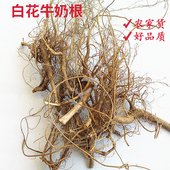 包邮 正品 福建特产客家野生竹叶小叶白花牛奶子根牛乳树根煲汤食材