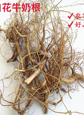 正品福建特产客家野生竹叶小叶白花牛奶子根牛乳树根煲汤食材包邮