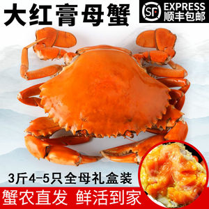 鲜大红膏蟹花价格 鲜大红膏蟹花图片 星期三