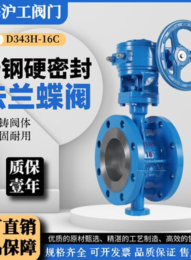 上海沪工硬密封法兰蝶阀D343H