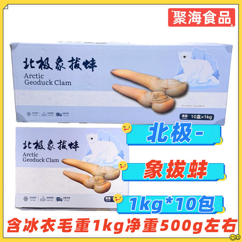 北极象拔蚌刺身级别日料餐饮商用