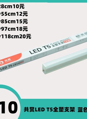 蓝色灯光共赏照明led灯管t5全塑支架全套一体化方形节能光管灯具