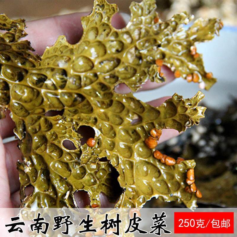 云南野生树皮菜干菜特产菌树蝴蝶野味山货 250g包邮
