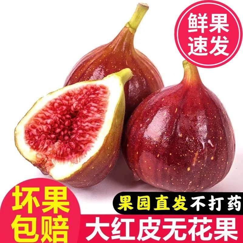 云南现货红皮无花果4斤新鲜大果当应季鲜果现摘孕妇水果整箱包邮5