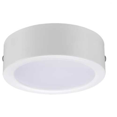 雷士莫鼎集电集控指示DC24V/36V智能A型消防应急疏散LED明装筒灯
