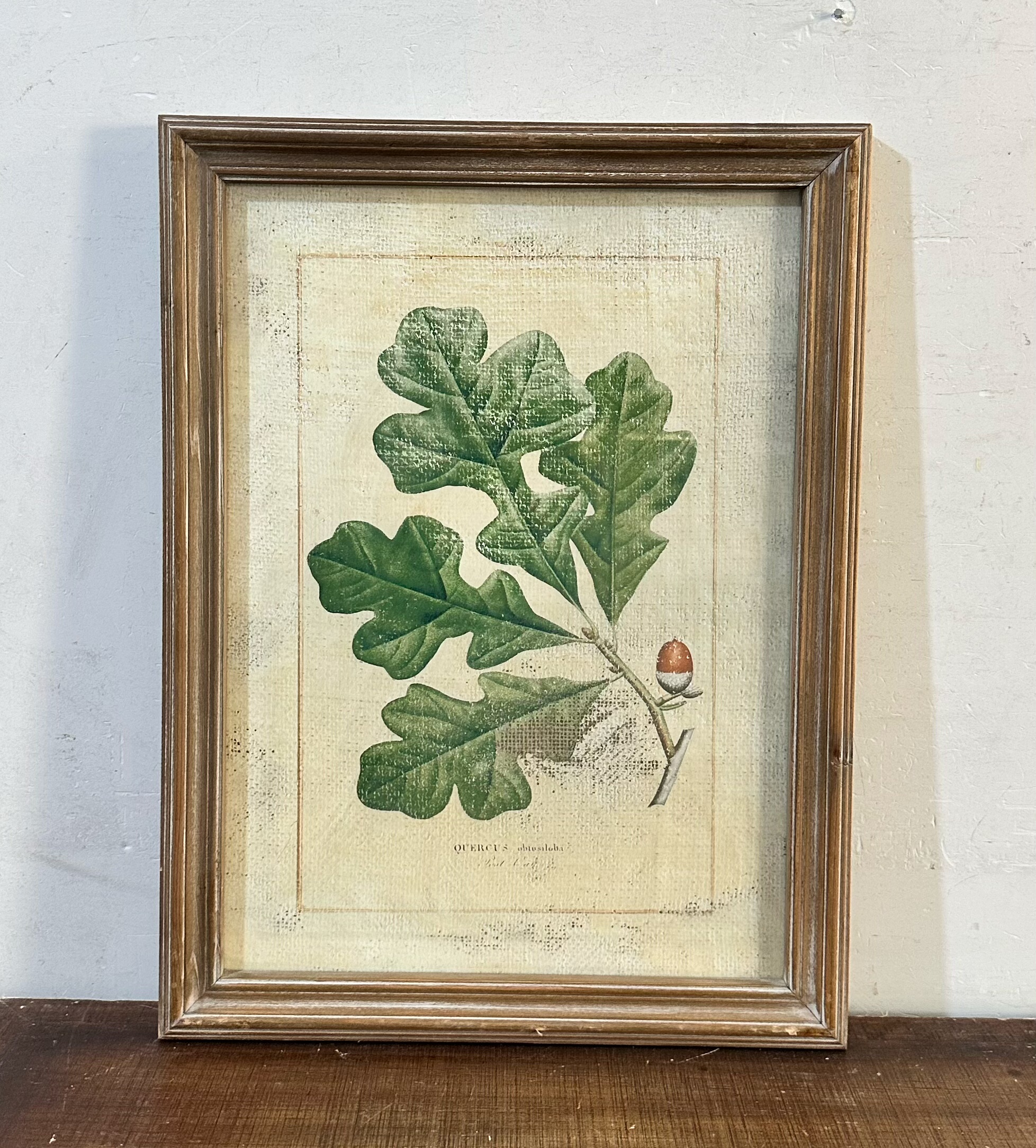 孤品vintage美式复古做旧植物装饰画橡木叶橡果图案 客厅花园挂画