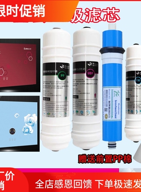 壁挂式直饮机过滤网净水器滤芯