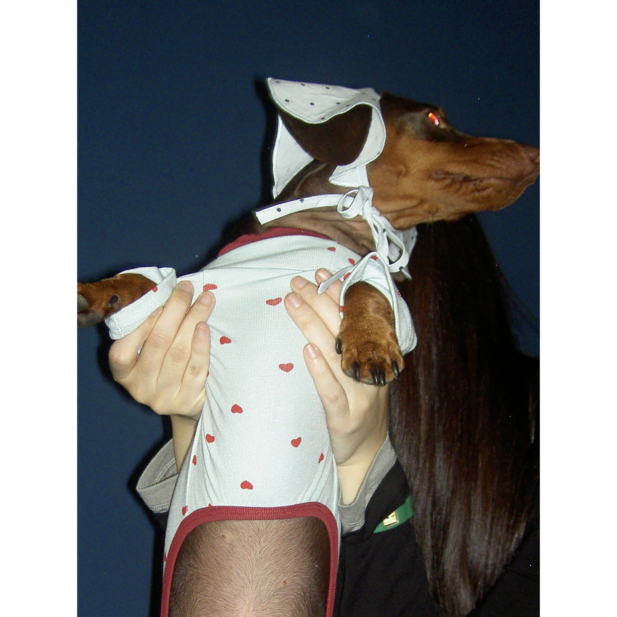 POXFFEE Pet/爱心四脚衣亲子狗狗衣服腊肠狗西高地