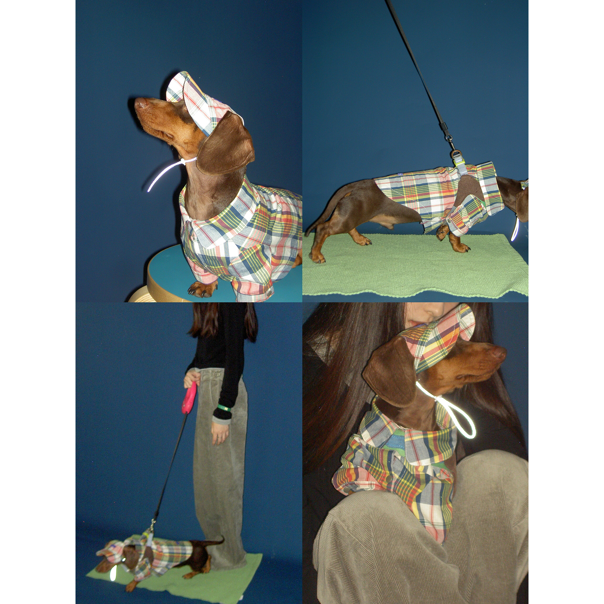 POXFFEE Pet/春夏时尚狗狗衣服格纹衬衫中小型犬西高地腊肠比熊