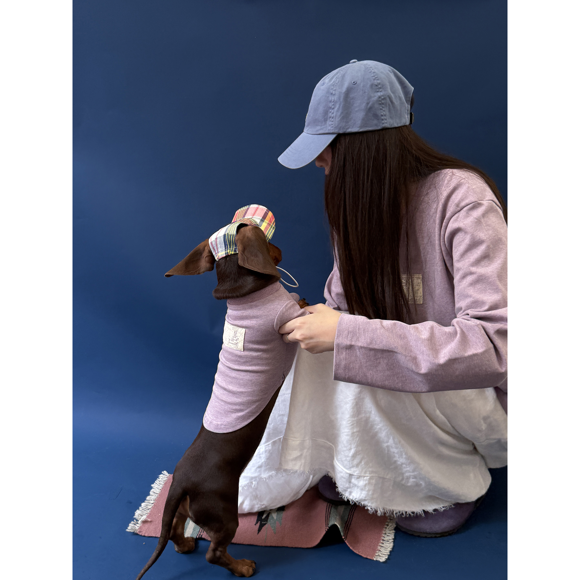 POXFFEE Pet/彩纱定制宠打底衫狗狗衣服短款腊肠西高地中小型犬