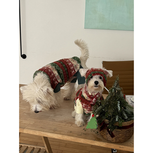 POXFFEE 宠物中小型犬狗狗西高地衣服 Pet圣诞氛围羊羔毛马甲冬季