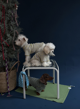 POXFFEE Pet狗狗冬天衣服泰迪2025新款中小型犬西高地宠物四脚衣