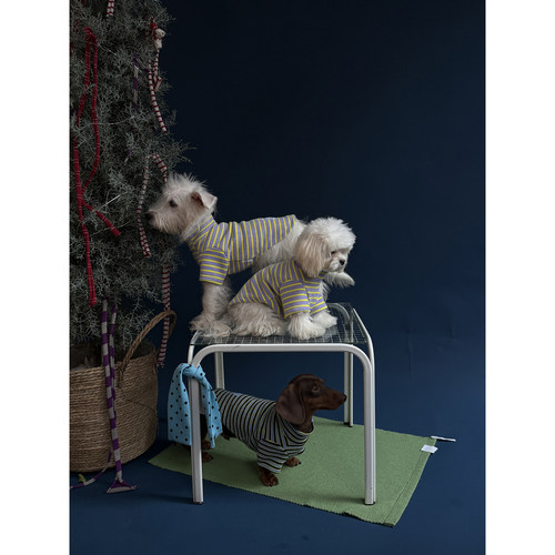 POXFFEE Pet狗狗冬天衣服泰迪2025新款中小型犬西高地宠物四脚衣