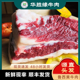 华胜缘 牛胸口4斤胸叉肉 新鲜速冻山东国产纯干谷饲清真 顺丰包邮